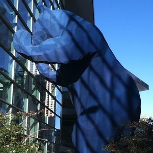 Meet your Posher, Joe